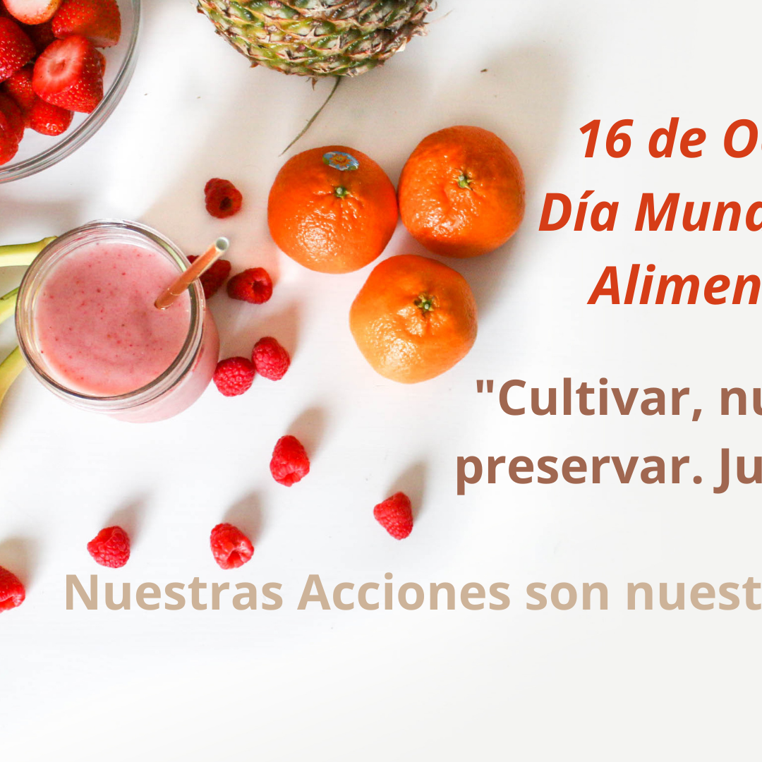 16 de Octubre Día Mundial de la Alimentación